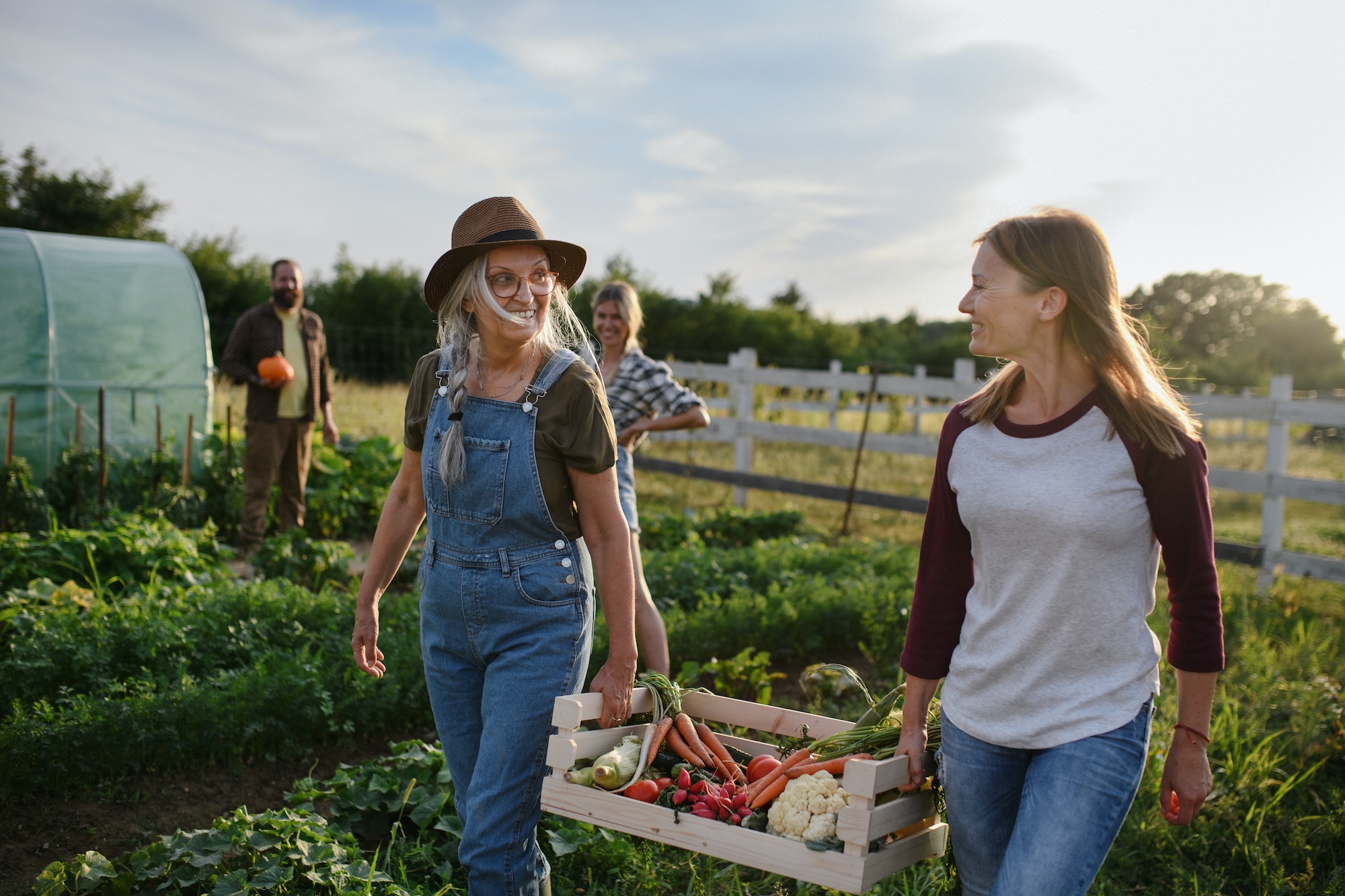 Mid adult female farmer with senior friend carrying crate with homegrown vegetables community farm